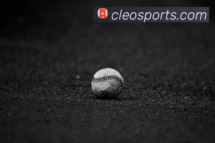 体育下注品牌故事